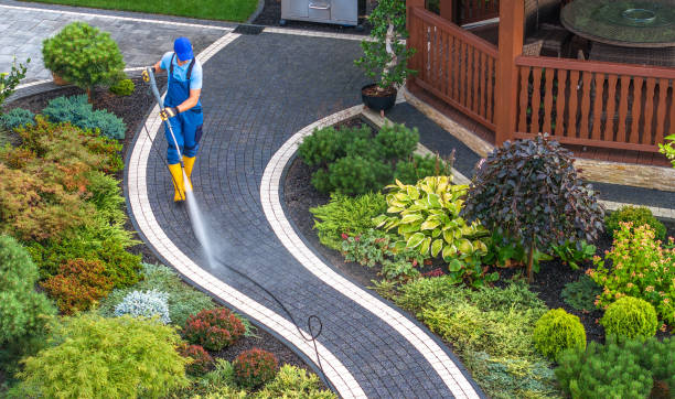 Best House Pressure Washing  in Manor, TX
